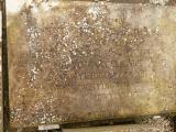 image of grave number 647340